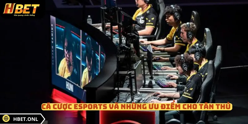 Cá cược Esports và những ưu điểm cho tân thủ 