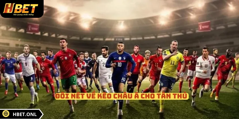 Đôi nét về kèo châu Á cho tân thủ 